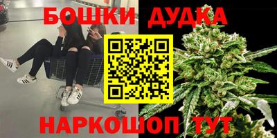 PSILOCYBIN Волгодонск