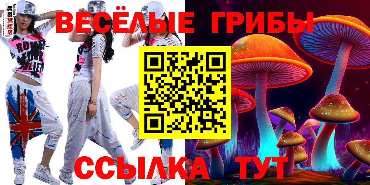 Галлюциногенные грибы Psilocybine cubensis Саров
